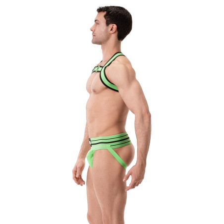 Harnais Élastique COLIN Vert