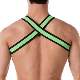Harnais Élastique COLIN Vert 2