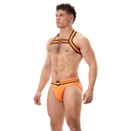 Harnais Élastique COLIN Orange
