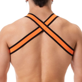 Harnais Élastique COLIN Orange 2