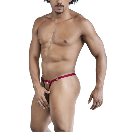 String FILICO Bordeaux