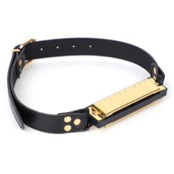 Bâillon harmonica MUSIC GAG Doré
