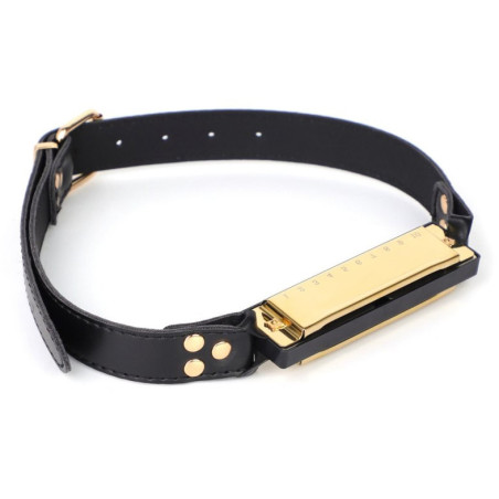 Bâillon harmonica MUSIC GAG Doré