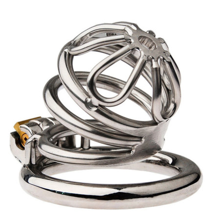 Cage de chasteté FLOWAL L de 6 x 3.3 cm par CockLock