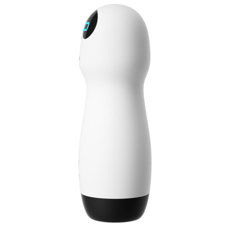 Masturbateur automatique WALL-Y Vibrations et Succions