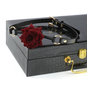 Coffret BDSM avec Malette 7 Pièces BLACKBOX