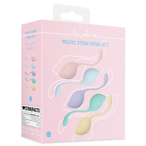 Kit de 5 Boules de Geisha STEMKIT