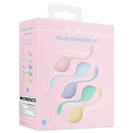 Kit de 5 Boules de Geisha STEMKIT