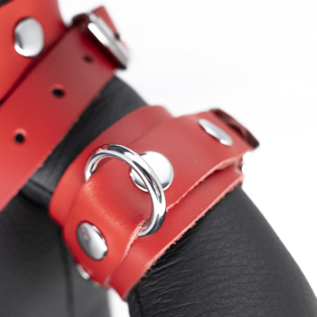 Ours en cuir EDDY The BDSM Teddy Bear Rouge