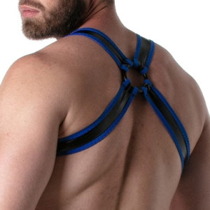 Harnais BRUT Noir-Bleu
