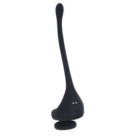 Plug et Cockring POINTEEZ 10 Vibrations de Levelz
