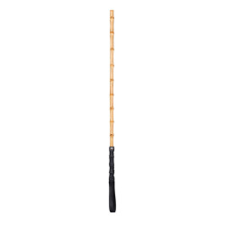 Baguette SM WIZWAND 59cm Noir