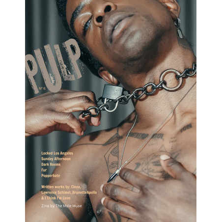 Livre photo PULP n°6