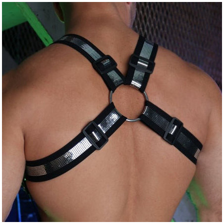 Harnais long ILLUMINATOR Noir-argenté de Breedwell