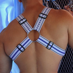 Harnais GYMNETIXXX Blanc de Breedwell 2