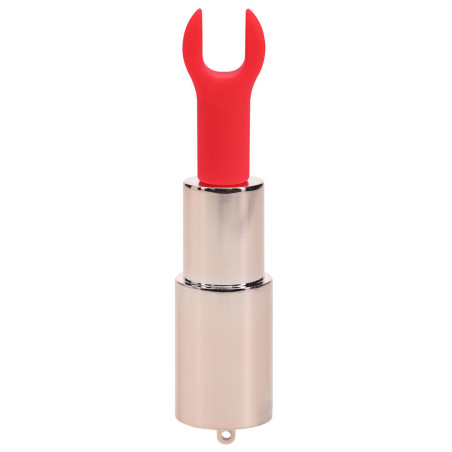 Mini Vibro + 4 embouts CANDY Rose