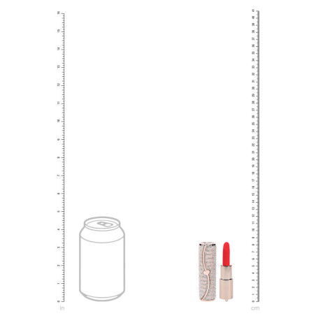 Mini Vibro + 4 embouts CANDY Rose