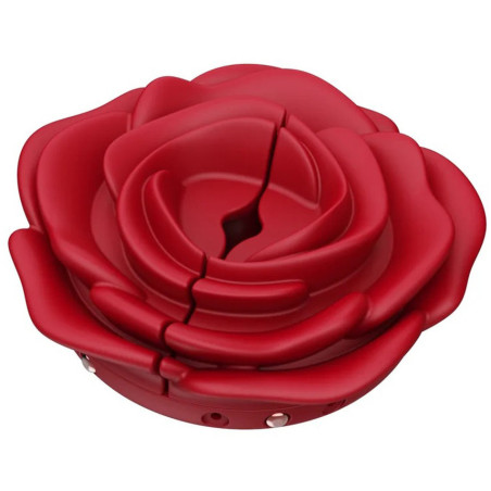 Pinces à seins vibrantes de MyPlayToys