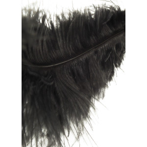 Plumeau DOUBLE TICKLERS 66cm