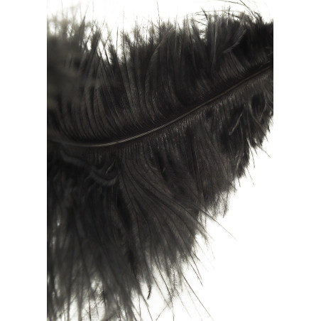 Plumeau DOUBLE TICKLERS 66cm