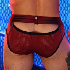 Slip MISTER LUXE Bordeaux de Breedwell