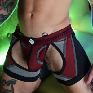 Jock Boxer MISTER LUXE Bordeaux de Breedwell