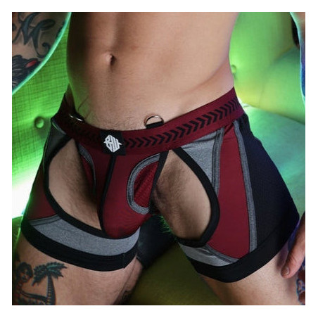Jock Boxer MISTER LUXE Bordeaux de Breedwell