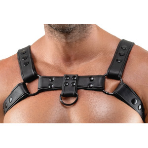 Harnais CHESTTY Noir de Svenjoyment