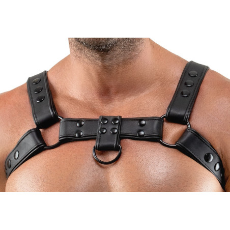 Harnais CHESTTY Noir de Svenjoyment