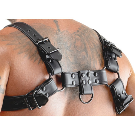 Harnais CHESTTY Noir de Svenjoyment