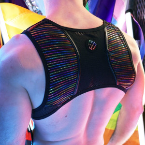 Harnais avec mousquetons ICON PRIDE Noir-Rainbow par Breedwell