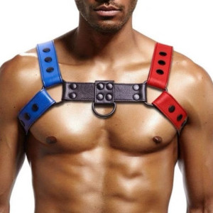 Harnais BULLY JUMP Rouge-Bleu