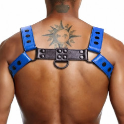 Harnais BULLY JUMP Bleu-Noir de KinkHarness 2