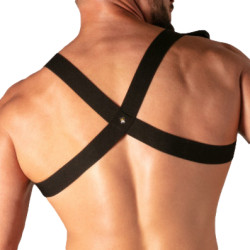 Bag Harnais MASTER FLEX Noir de Absolu Male 2