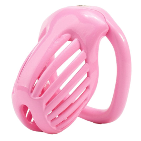 Cage de chasteté LINEATH Rose 6 x 3.2 cm de CockLock