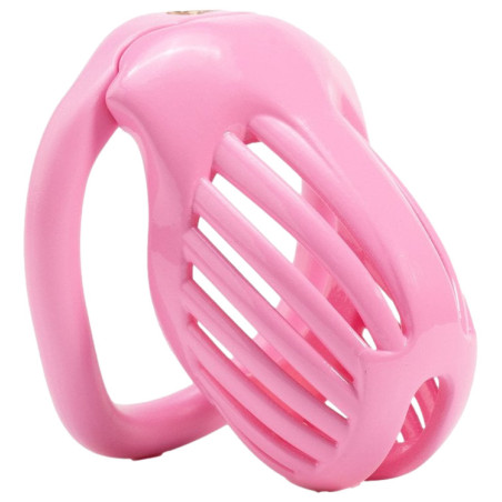 Cage de chasteté LINEATH Rose 6 x 3.2 cm de CockLock