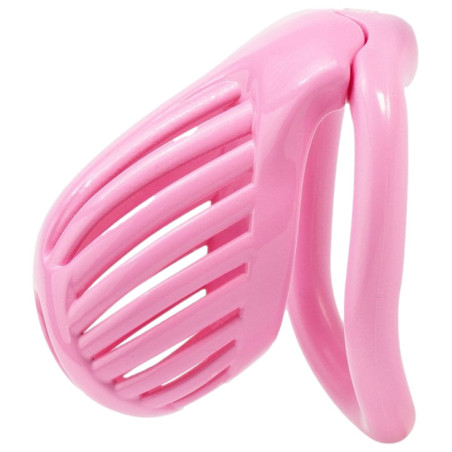 Cage de chasteté LINEATH Rose 6 x 3.2 cm de CockLock