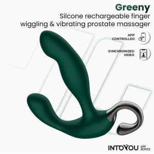 Stimulateur prostatique vibrant GREENY 10 x 2.5 cm par IntoYou