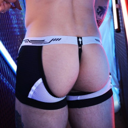 Jock Boxer GAGGED Blanc de Breedwell 2