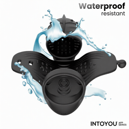 Masturbateur connecté ZONTE de IntoYou