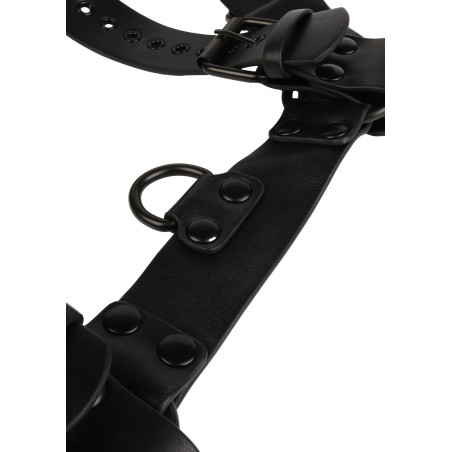 Harnais Sm MAN CORE Noir de Avanza
