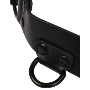 Harnais Sm MAN CORE Noir de Avanza