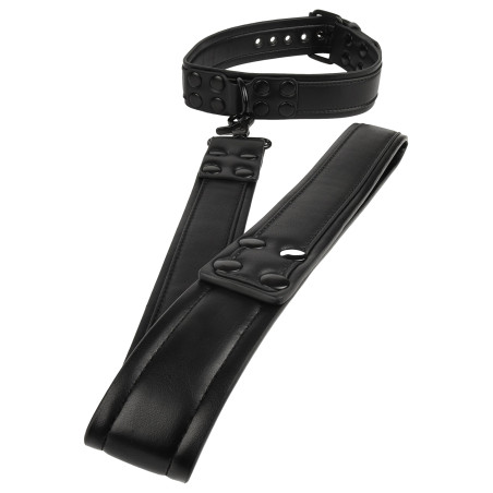 Collier-laisse en simili VANTAGE 8 de Avanza