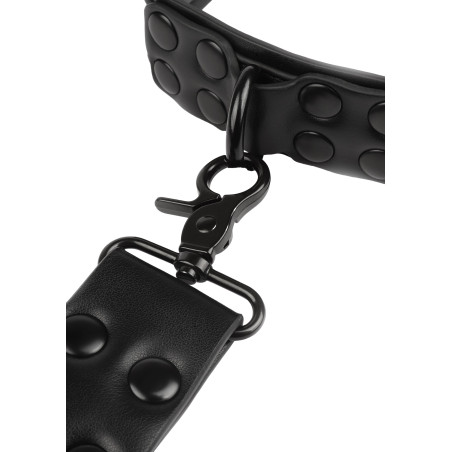 Collier-laisse en simili VANTAGE 8 de Avanza