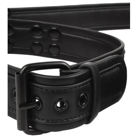 Collier-laisse en simili VANTAGE 8 de Avanza