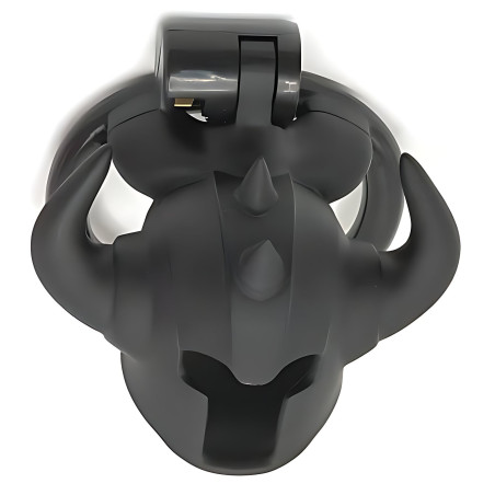 Cage de chasteté CASKAUR Noire 5 x 3 cm par CockLock