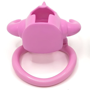Cage de chasteté CASKAUR Rose 5 x 3 cm par CockLock