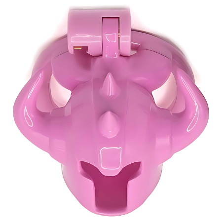 Cage de chasteté CASKAUR Rose 5 x 3 cm par CockLock