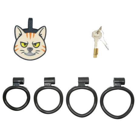 Cage de chasteté plate KITT-GRR Noire de CockLock