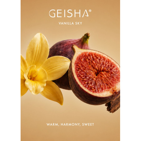 Bougie de massage VANILLA SKY de Geisha 145ml